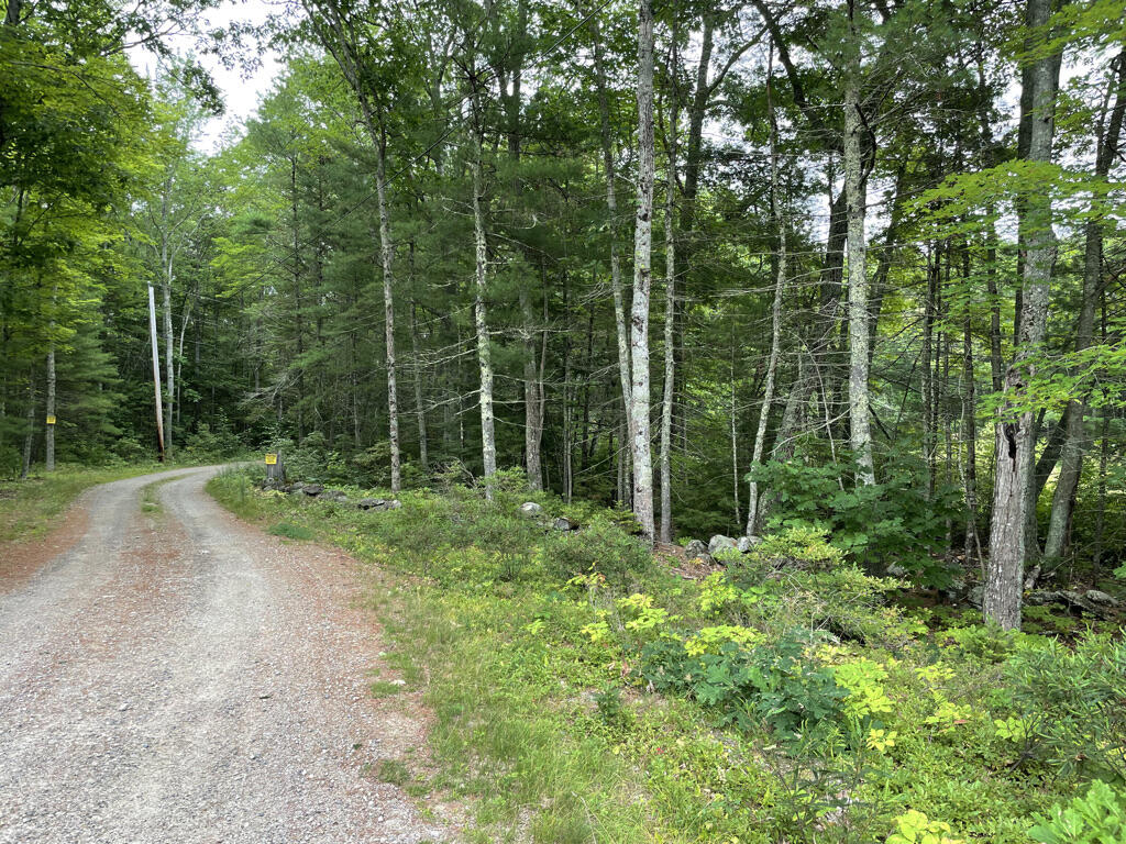 0 Evergreen Road Newcastle, ME 04553 - Photo 8 of 11 D4EFDEEC-2E6B-4667-9D22-A9162E999D9B_1_1