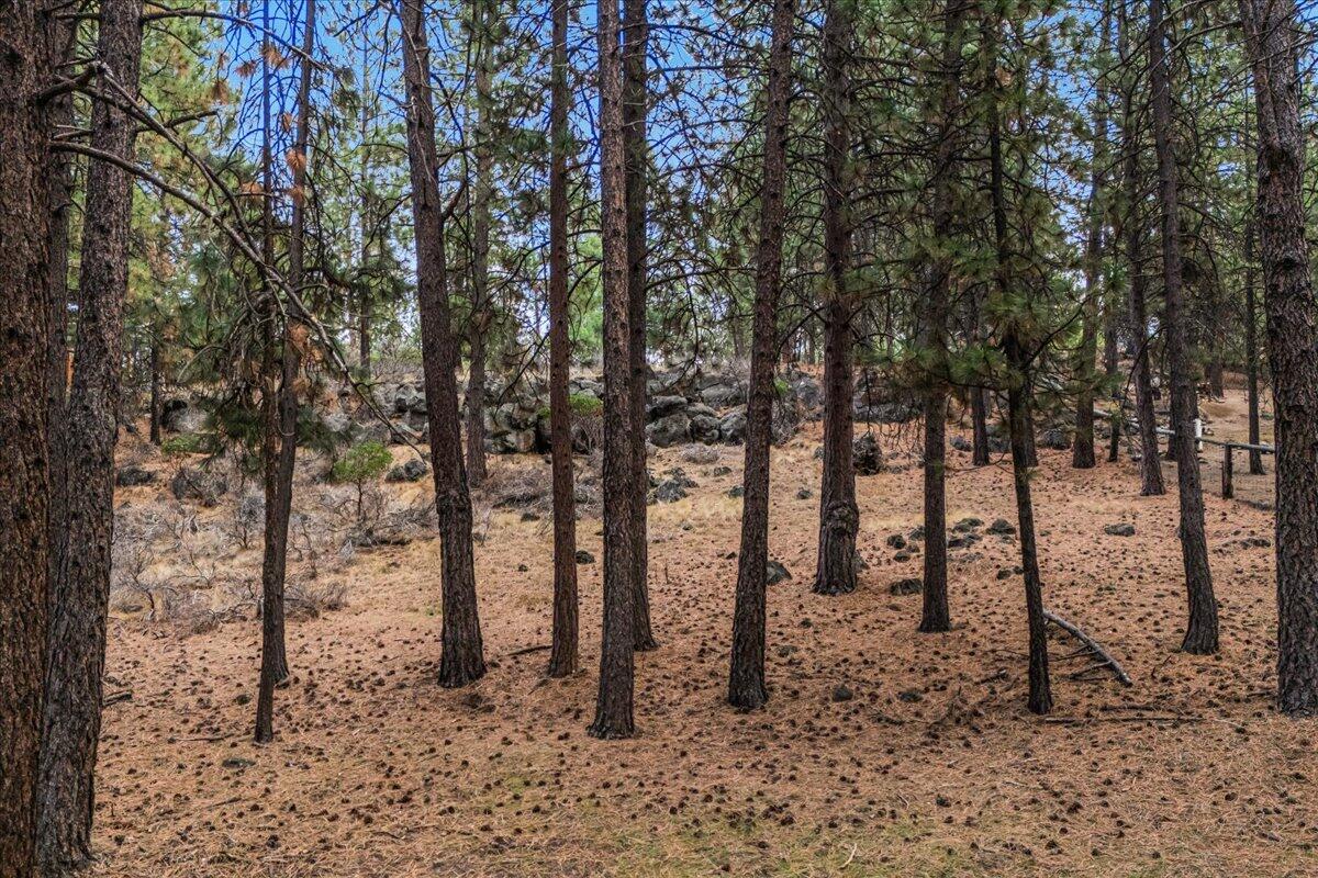 60214 Agate Road Bend, OR 97702 - Photo 25 of 31 Private back yard with beautiful trees and rock outcropping