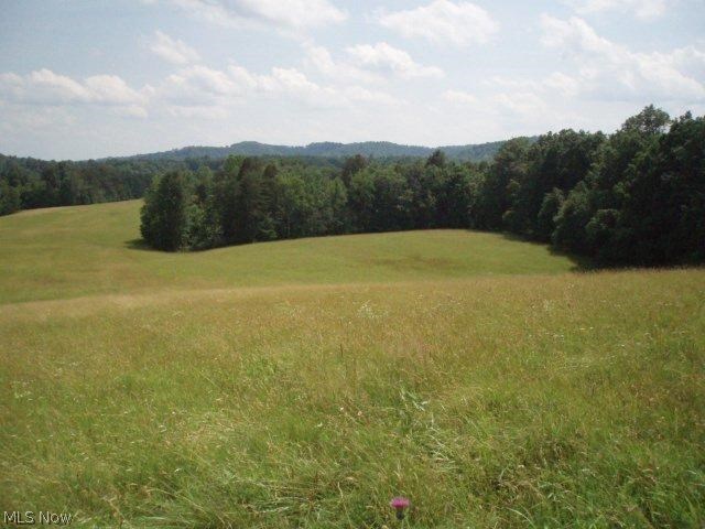 12258 Gillespie Run Road Petroleum, WV 26161 - Photo 5 of 18