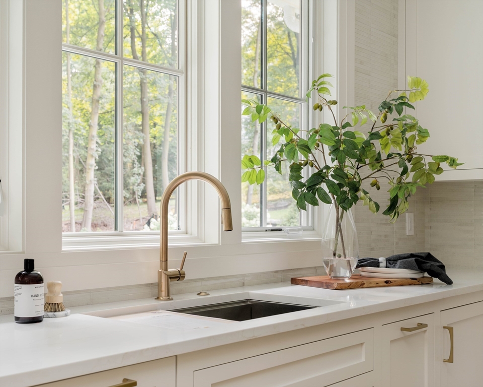 14 Bird Hill Avenue Wellesley, MA 02481 - Photo 10 of 37 a close view of sink and a potted plant