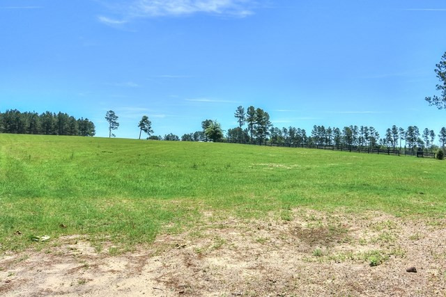 261 Farmfield Road Aiken, SC 29805 - Photo 40 of 45