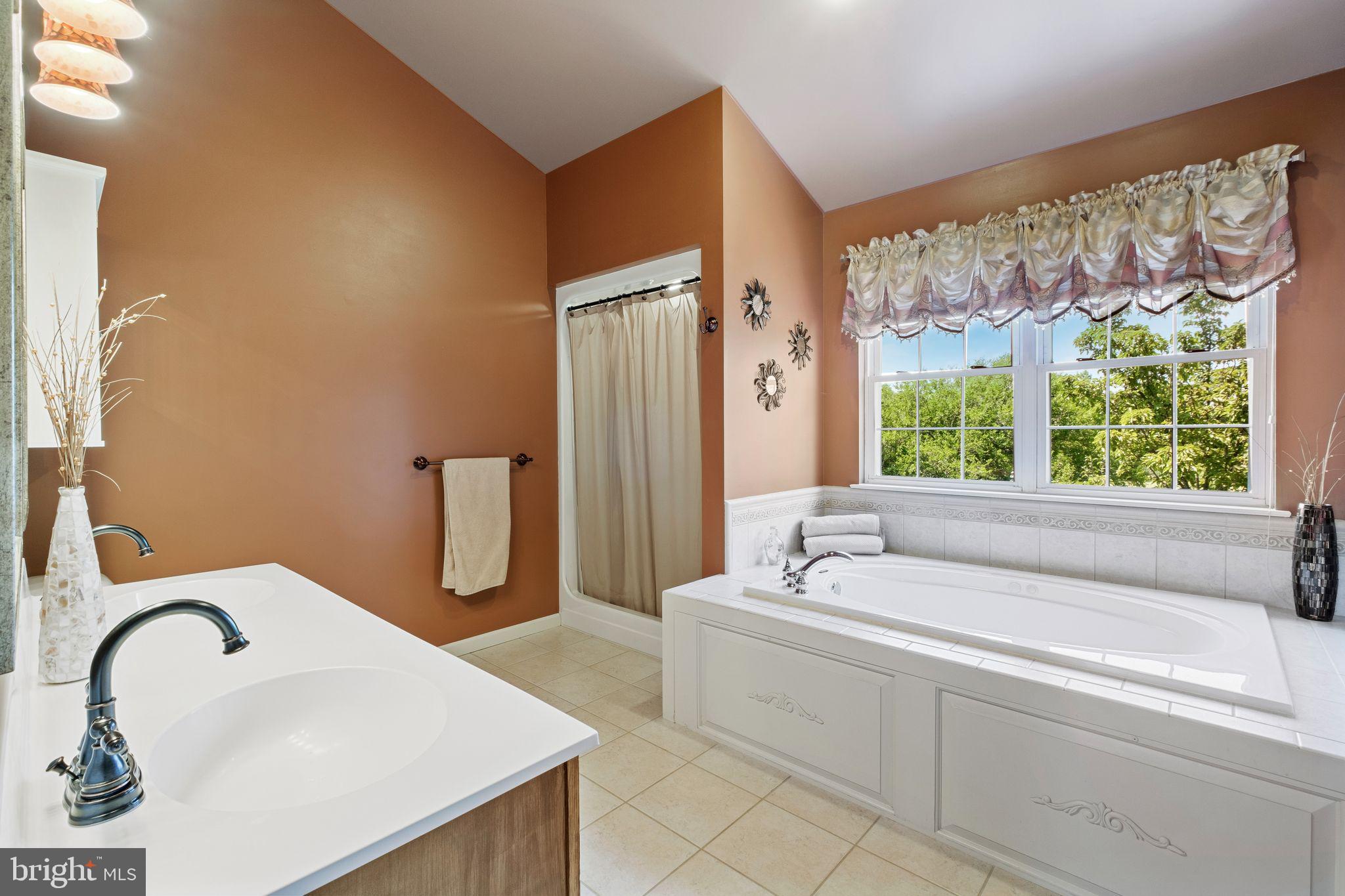 519 Meadow Ridge Drive Mickleton, NJ 08056 - Photo 32 of 63 Owners suite bathroom ensuite