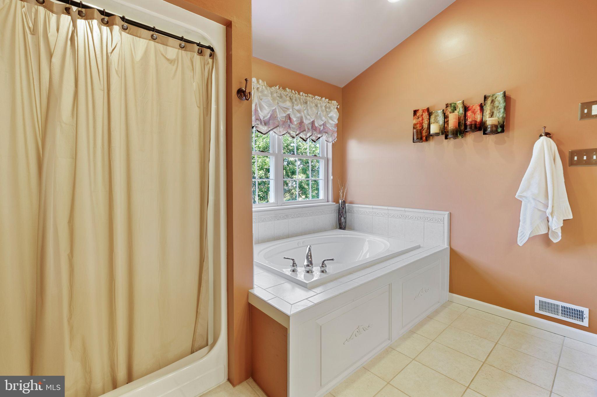 519 Meadow Ridge Drive Mickleton, NJ 08056 - Photo 33 of 63 Owners suite bathroom en-suite.