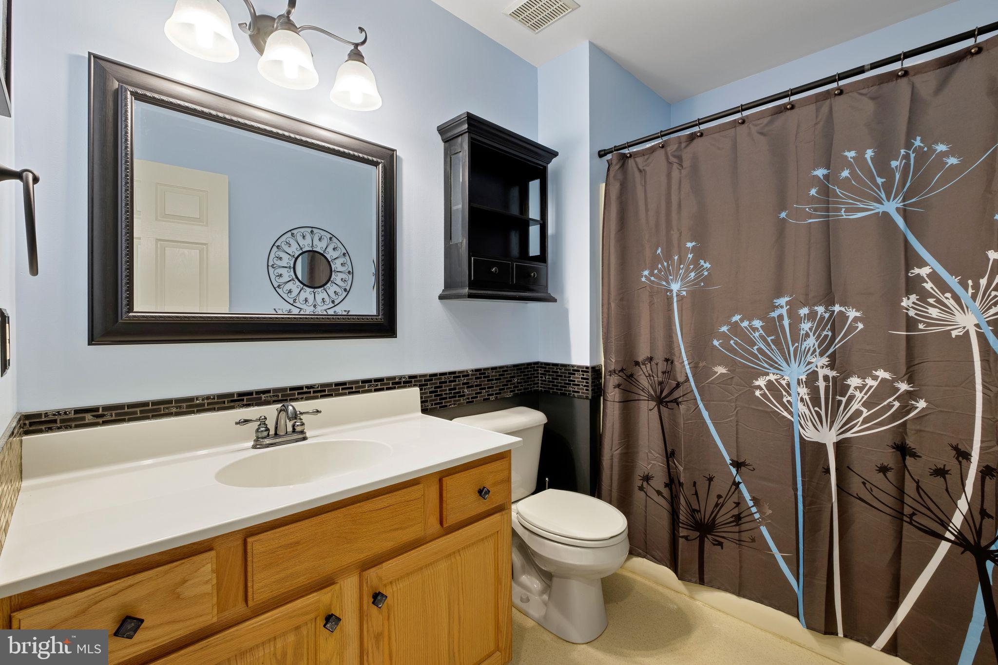 519 Meadow Ridge Drive Mickleton, NJ 08056 - Photo 41 of 63 2nd full bathroom