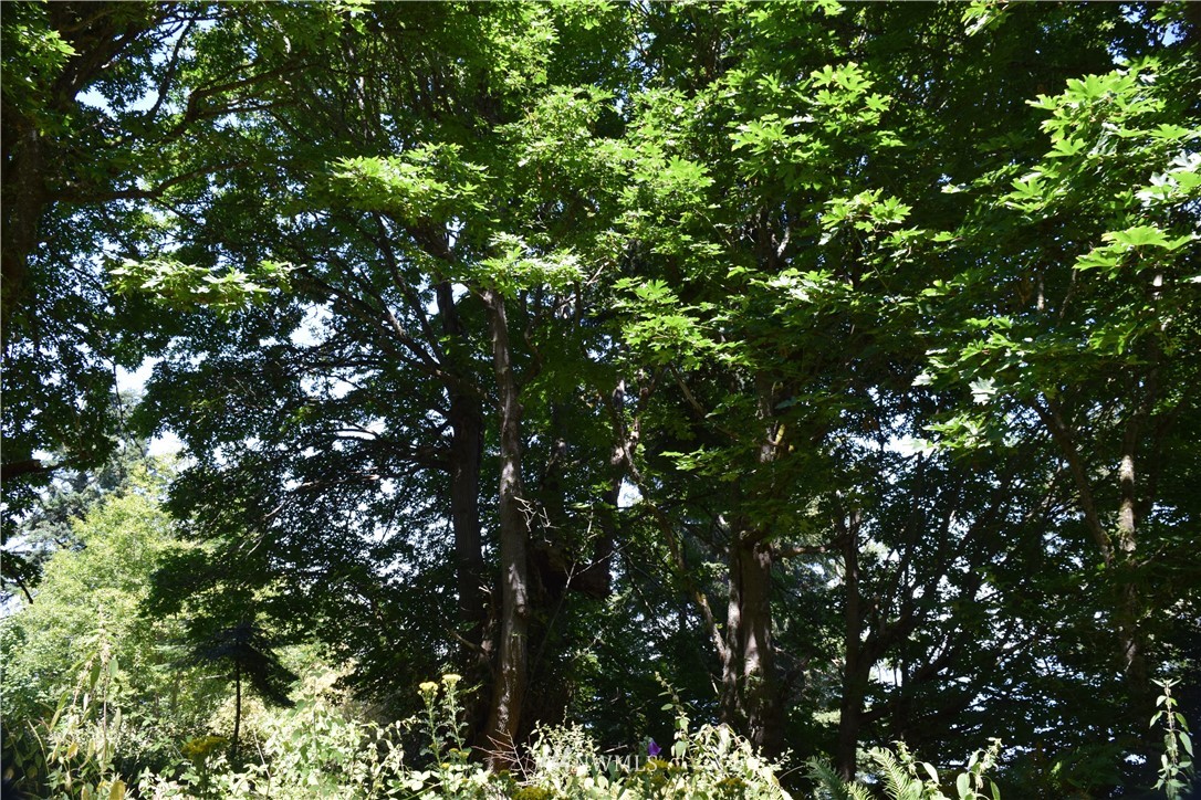 2794 Strawberry Point Road Oak Harbor, WA 98277 - Photo 16 of 23 Gallery Image 16