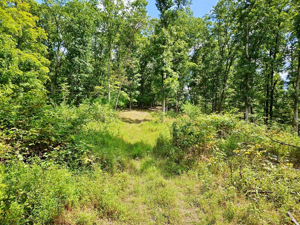 10324 Standing Stone Road Huntingdon, PA 16652 - Photo 40 of 71 Gallery Image 40