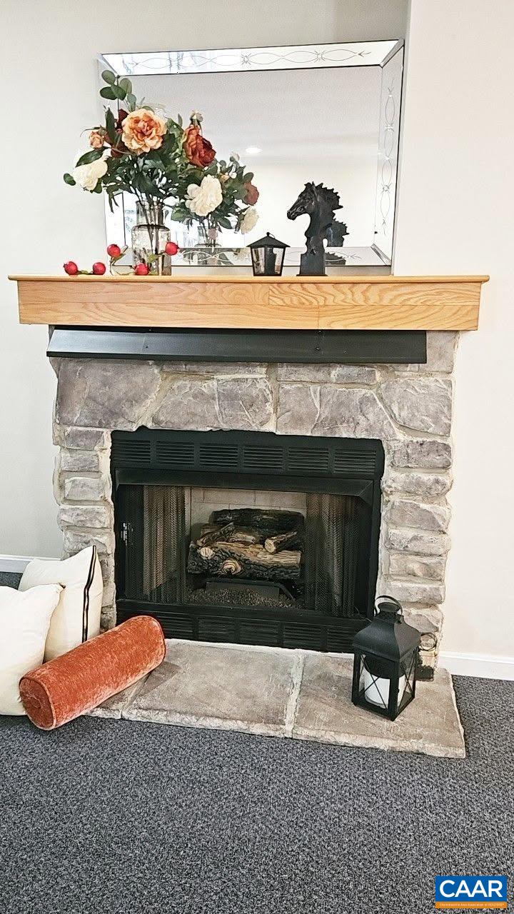 102 Happy Valley Road Keswick, VA 22947 - Photo 8 of 56 Gallery Image 8