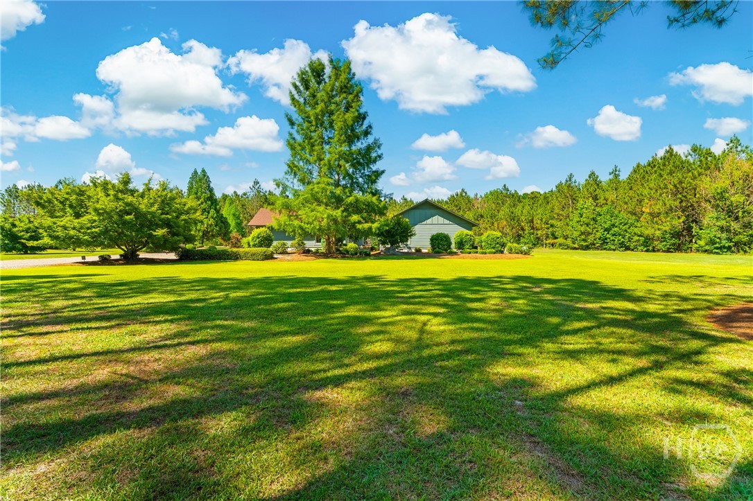 4236 South Newton Road Millen, GA 30442 - Photo 46 of 56