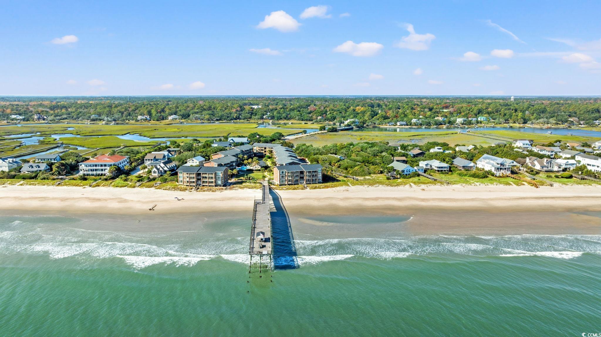 320 Myrtle Avenue Pawleys Island, SC 29585 - Photo 38 of 38 Aerial view of residential area with unending shoreline