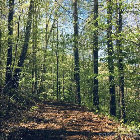 $35,000 | 57 Fern Hill Drive, Mars Hill, NC 28754