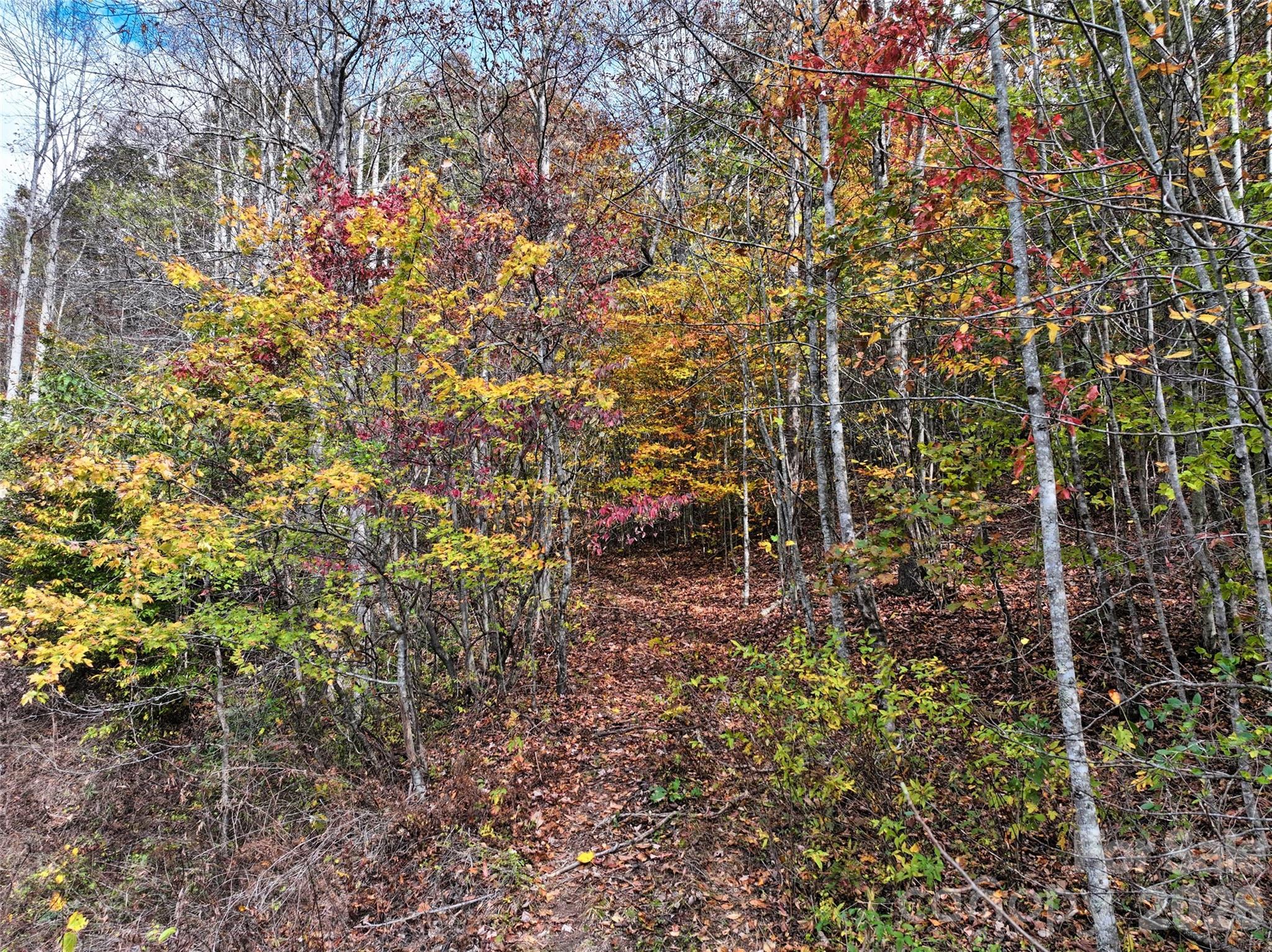 366 Renfro Road Green Mountain, NC 28740 - Photo 24 of 40 Gallery Image 24