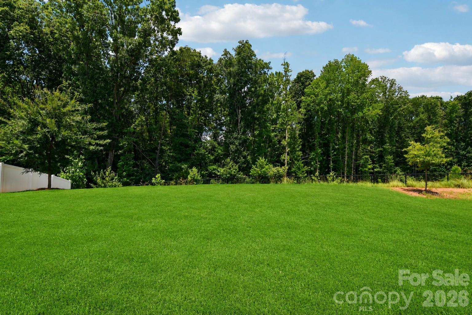 148 Tanner Loop Troutman, NC 28166 - Photo 37 of 41