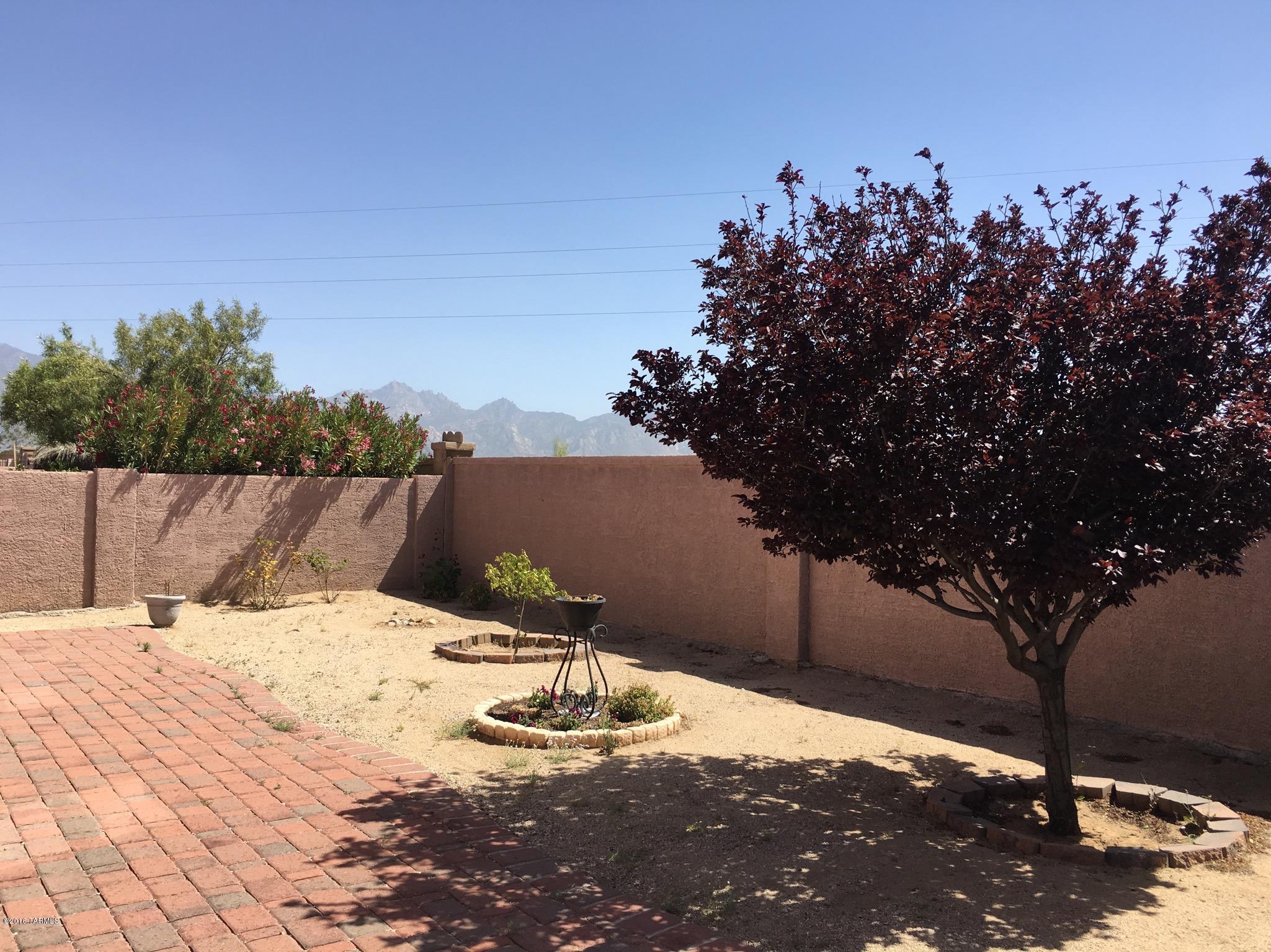 60335 East Blackcrest Loop Tucson, AZ 85739 - Photo 20 of 30