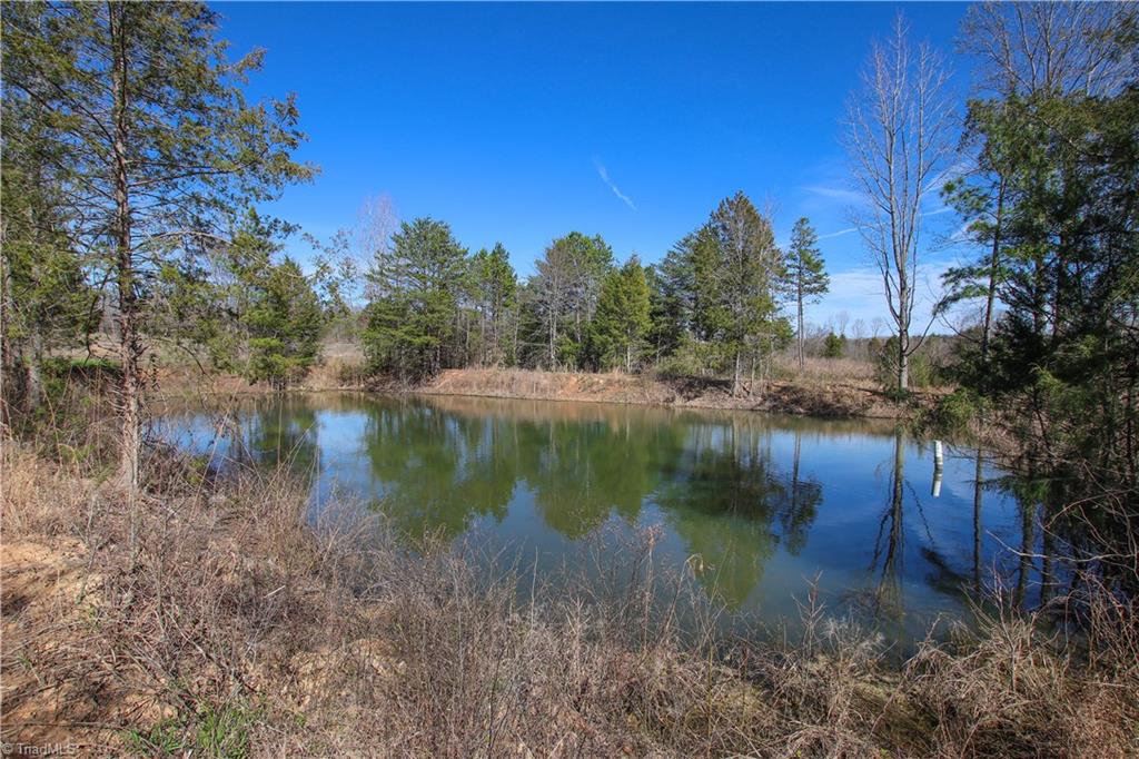 1873 Denton Road Denton, NC 27239 - Photo 10 of 17 Beautiful pond
