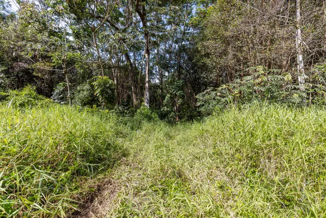 a view of a pathway both side of building