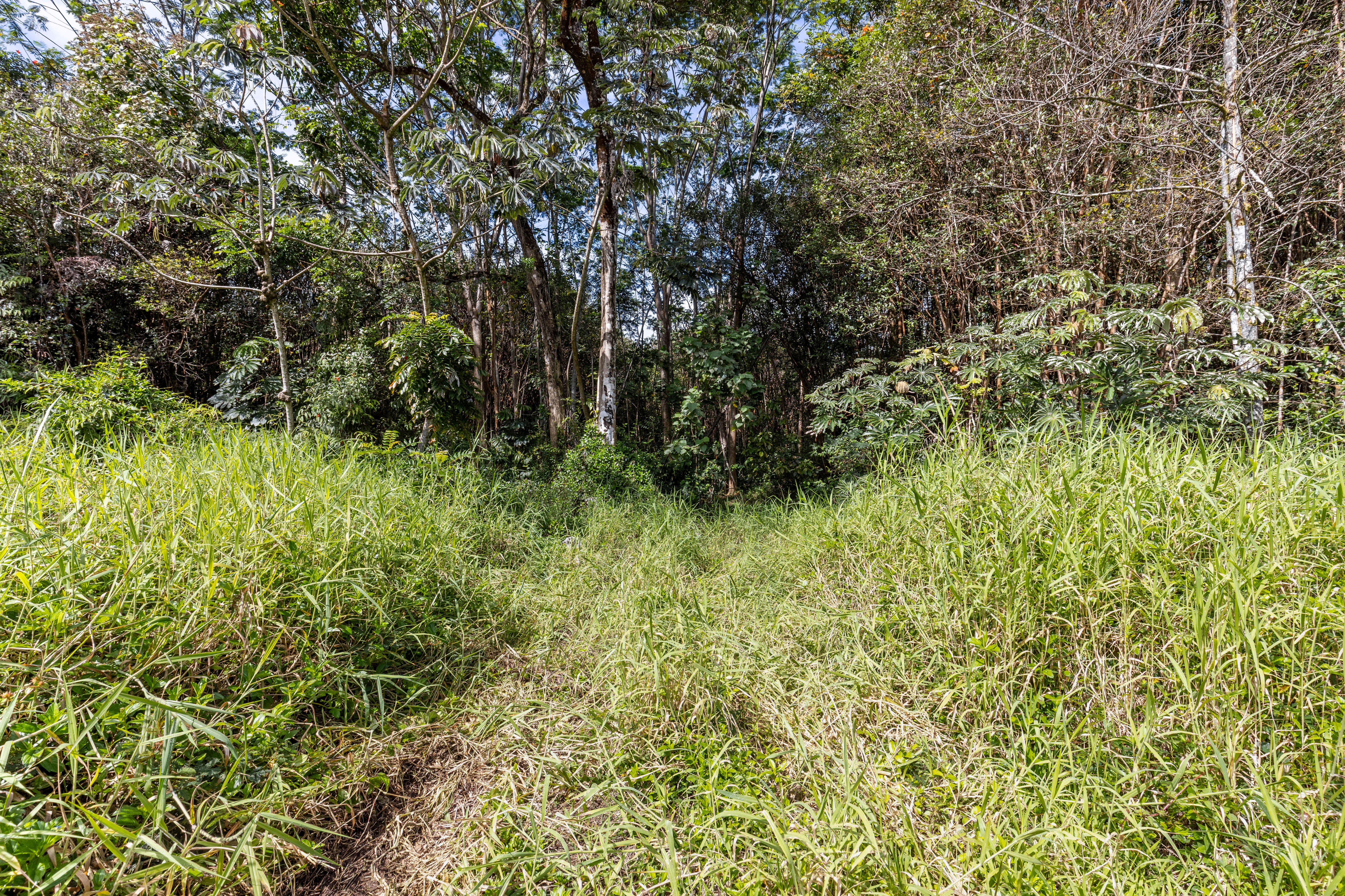 4 Ainalako Road Hilo, HI 96720 - Photo 11 of 18