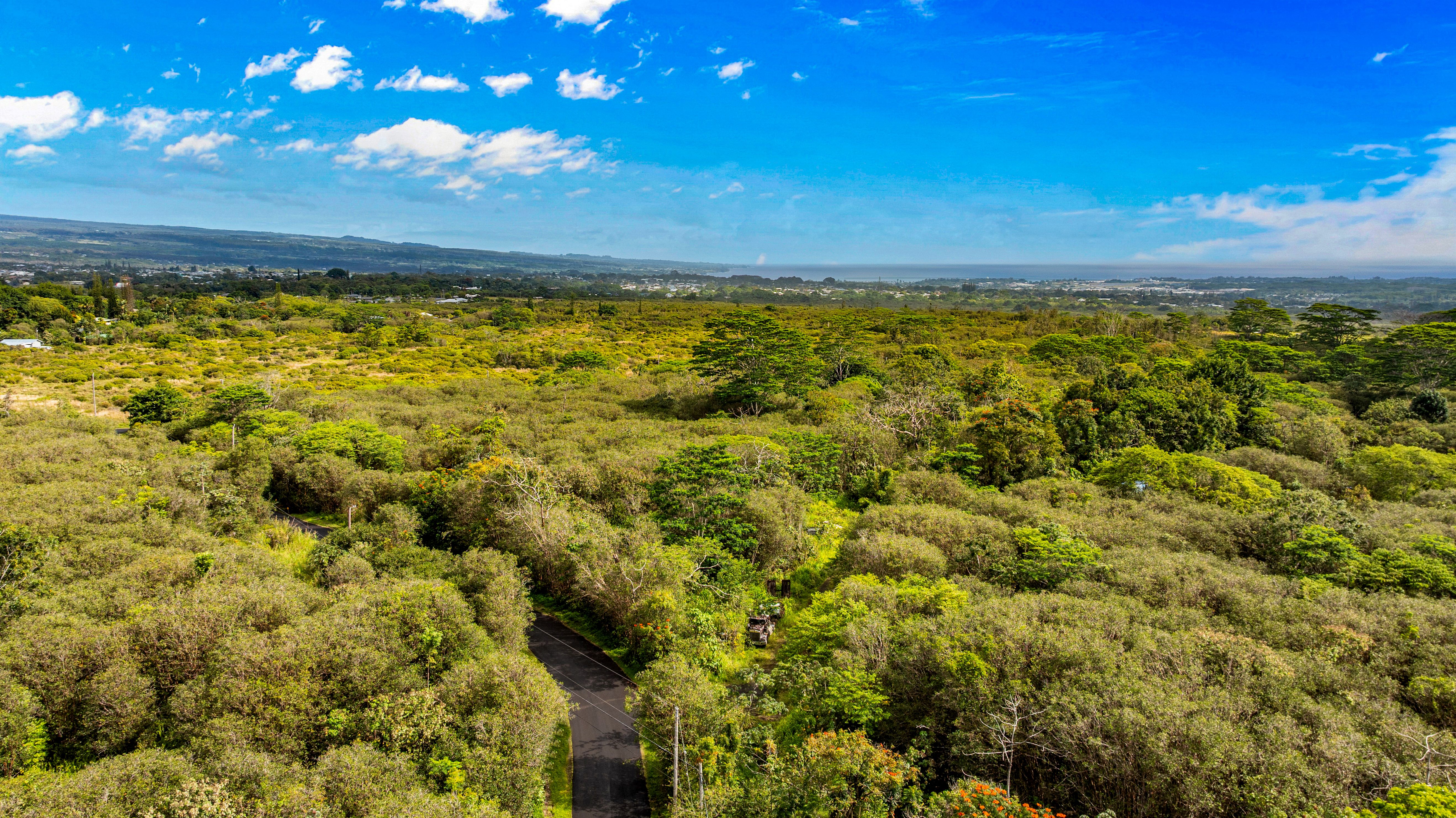 4 Ainalako Road Hilo, HI 96720 - Photo 5 of 18 a view of an ocean