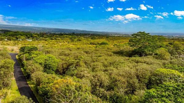 a view of a yard with an ocean view