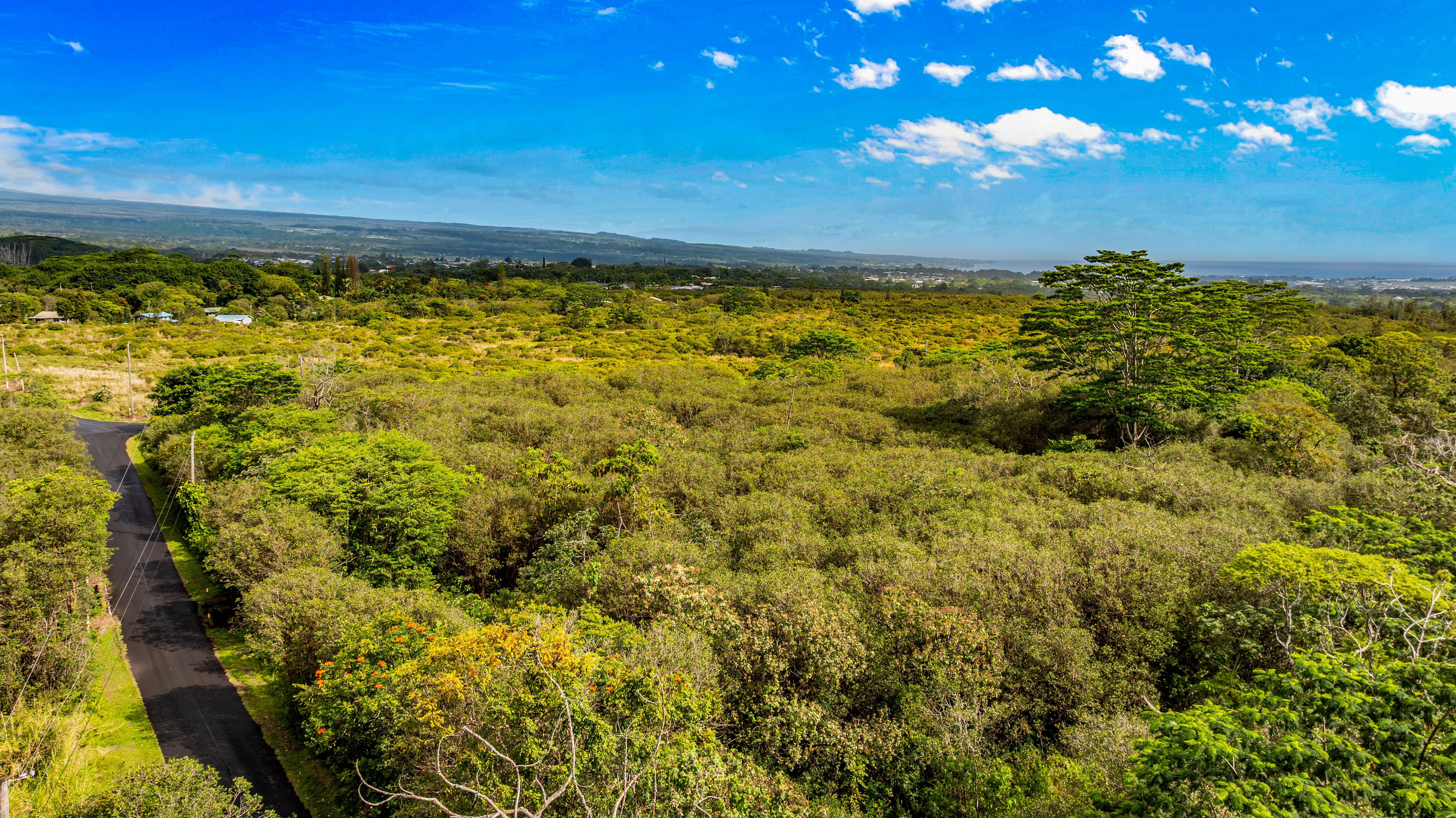 4 Ainalako Road Hilo, HI 96720 - Photo 6 of 18 a view of a yard with an ocean view