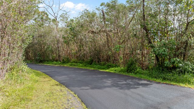 a view of a garden with pathway