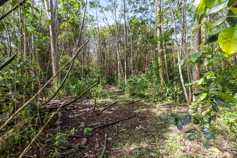 a backyard of a house with lots of green space