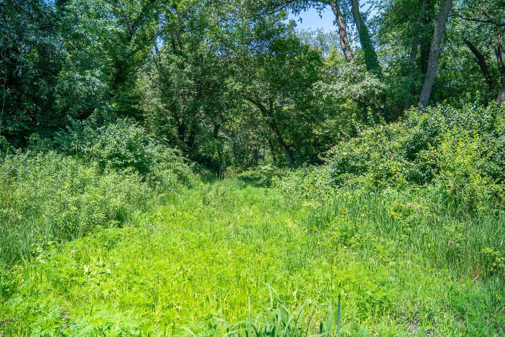 0 Inlet Road Amboy, IL 61310 - Photo 72 of 83