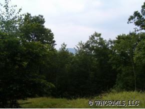 Off Off East Fork Road Brevard, NC 28712 - Photo 1 of 1 Gallery Image 1