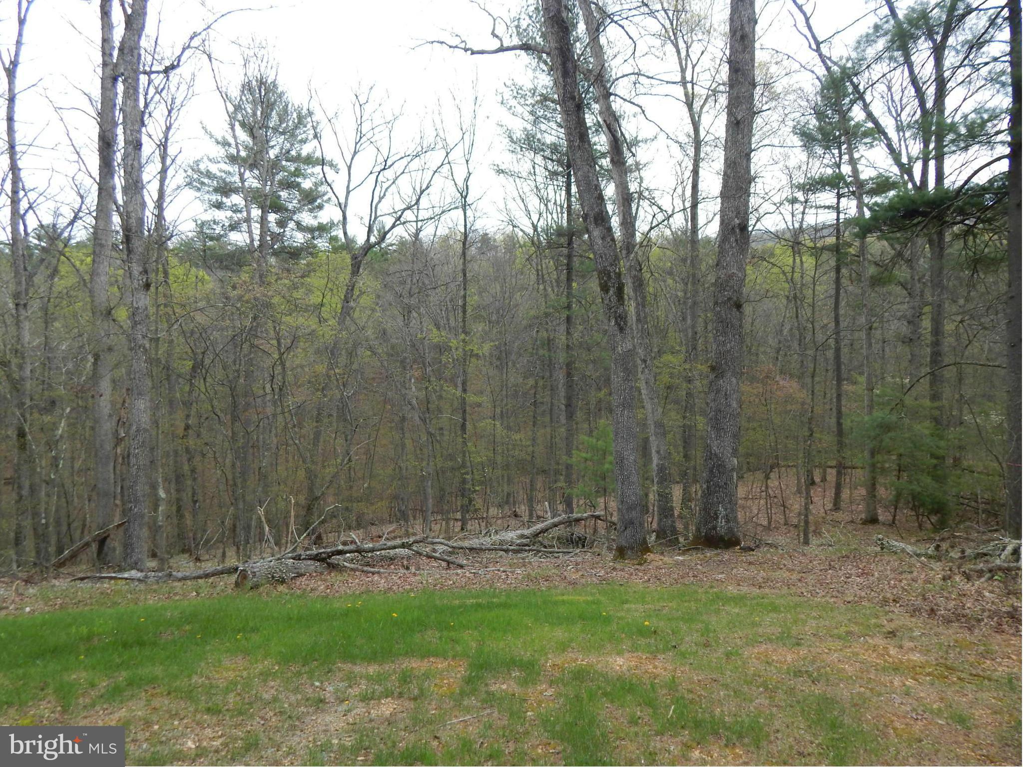 3280 Buck Hill Road Gerrardstown, WV 25420 - Photo 15 of 23 Exterior (Rear)