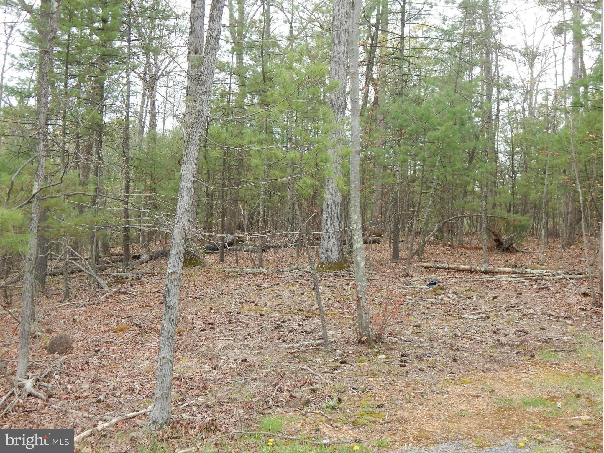 3280 Buck Hill Road Gerrardstown, WV 25420 - Photo 17 of 23 Exterior (General)