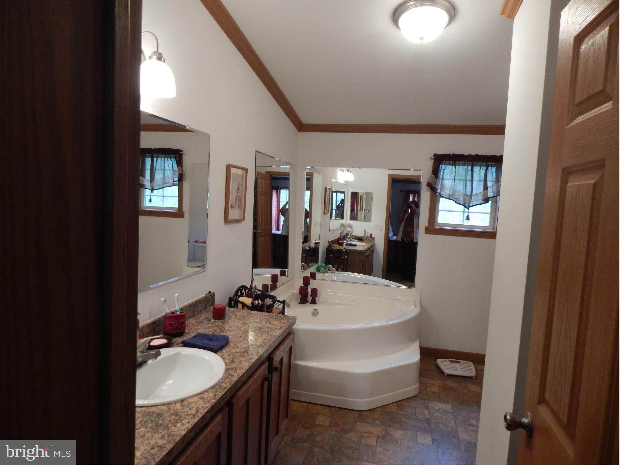 3280 Buck Hill Road Gerrardstown, WV 25420 - Photo 7 of 23 Bath (Master)