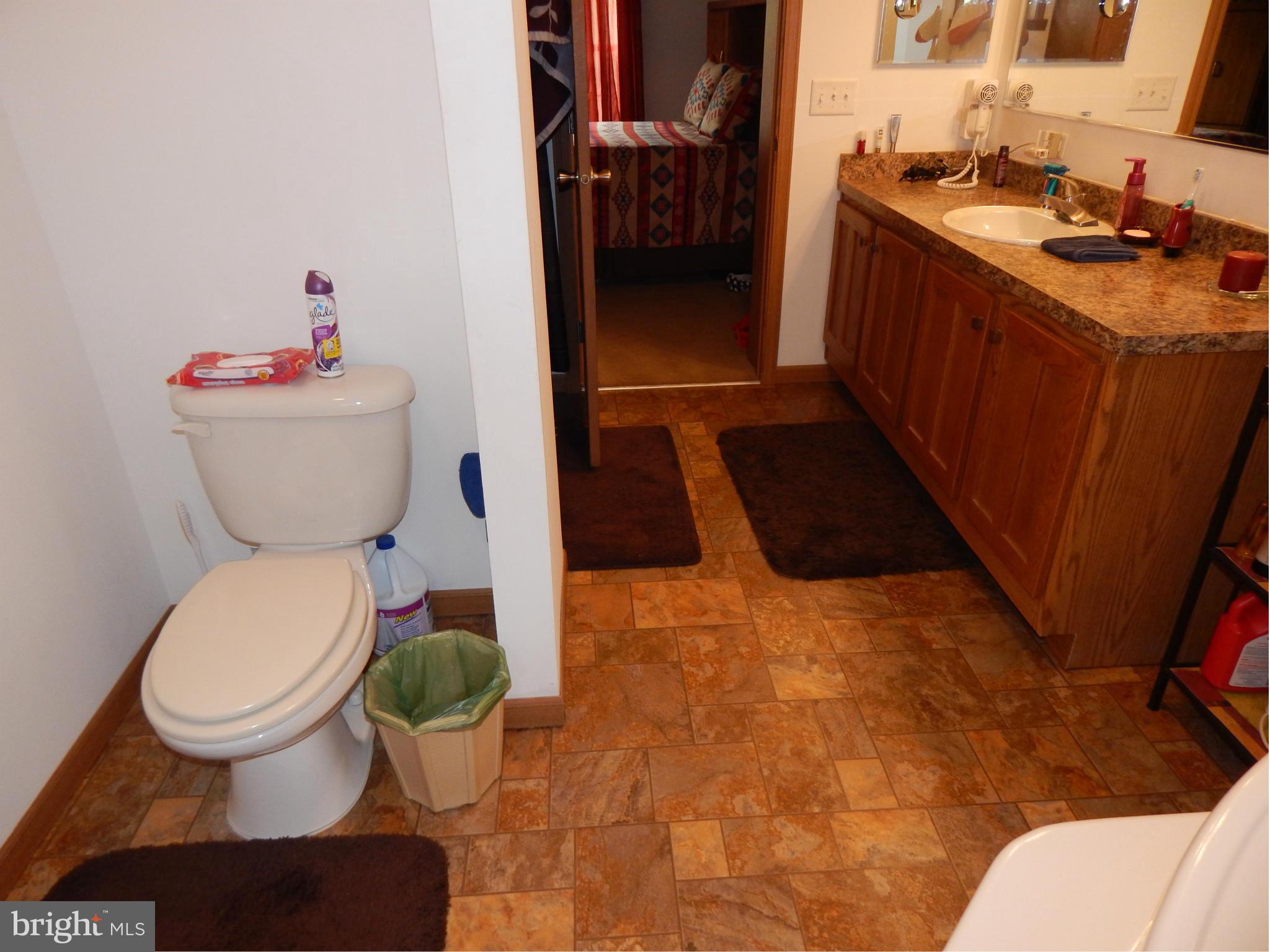 3280 Buck Hill Road Gerrardstown, WV 25420 - Photo 8 of 23 Bath (Master)