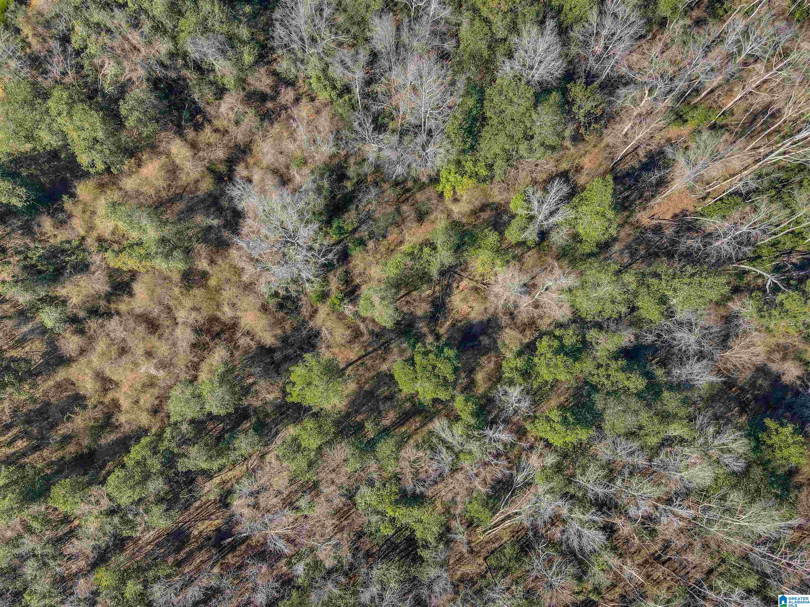 807 Yellow Leaf Road, Unit 1 Clanton, AL 35045 - Photo 6 of 18