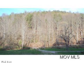 23 C Road Harrisville, WV 26362 - Photo 11 of 16