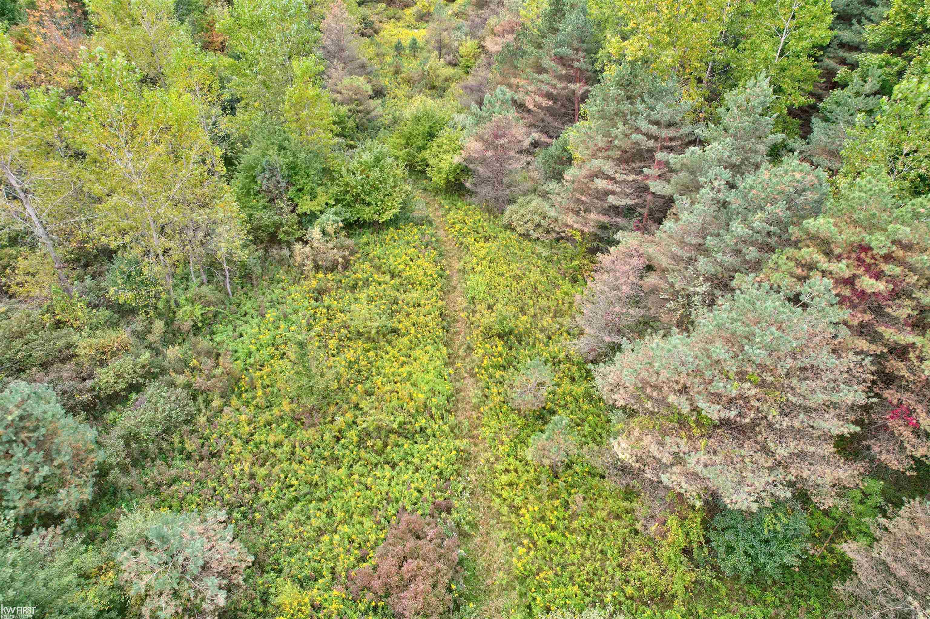 5238 North Gale Road Davison, MI 48423 - Photo 62 of 71 50189231-94da0254-0508-42b8-9475-7309d2820d68.JPG