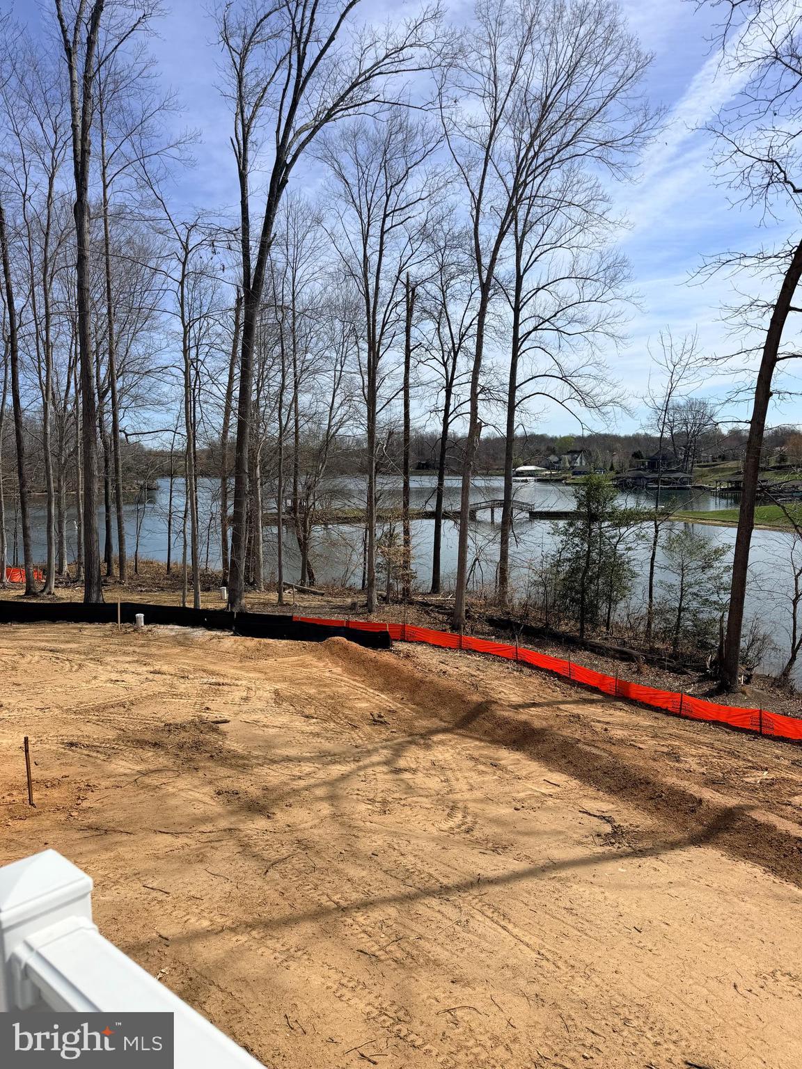 300 Compass Cove Mineral, VA 23117 - Photo 3 of 22