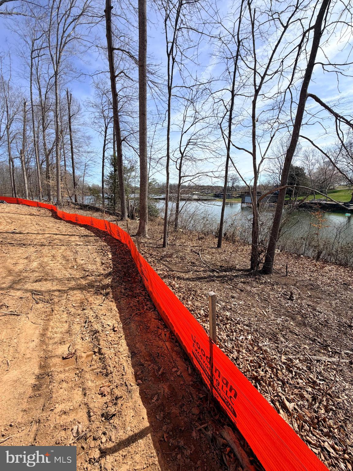 300 Compass Cove Mineral, VA 23117 - Photo 4 of 22