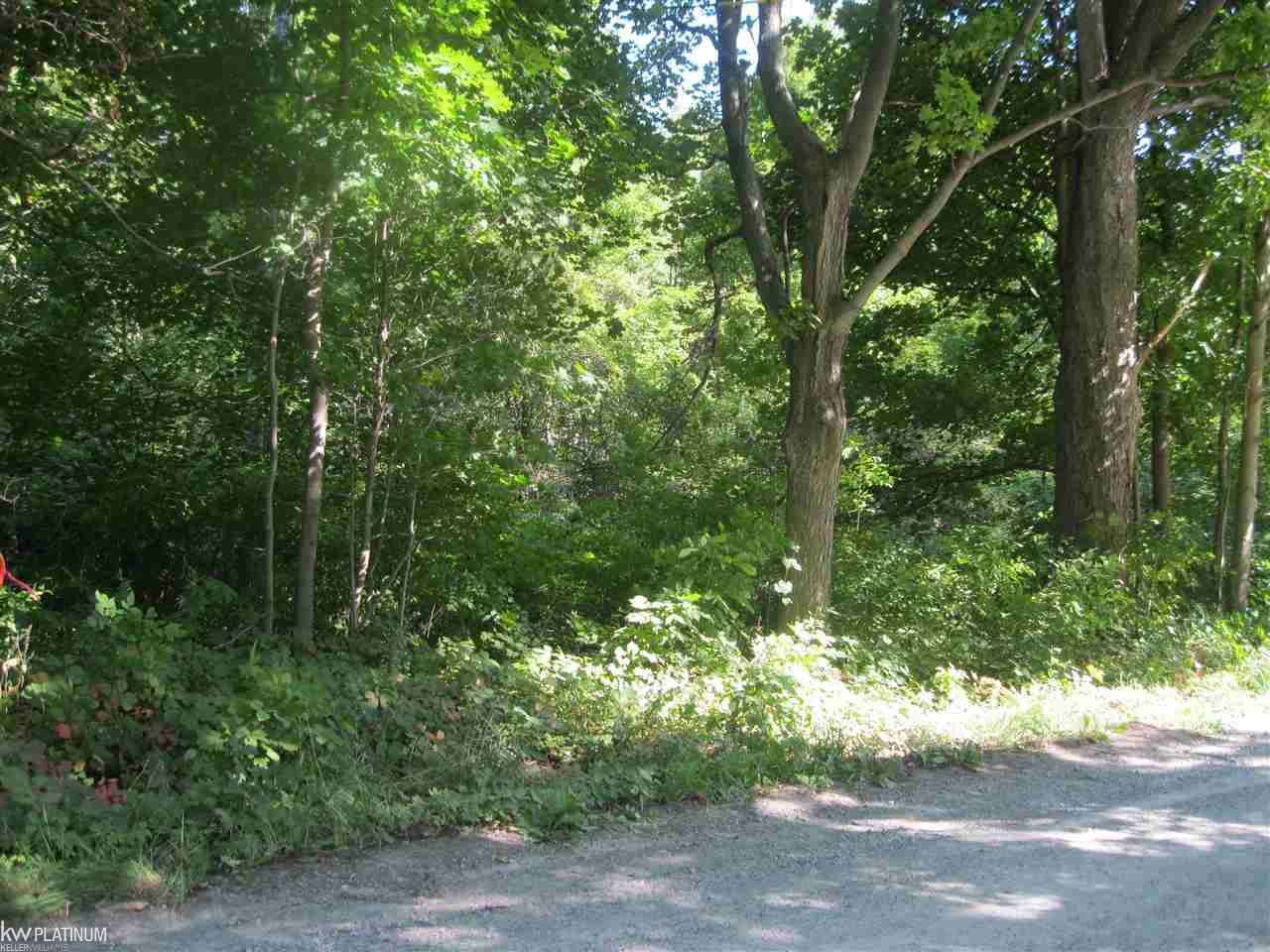 Ob Green Goodells, MI 48027 - Photo 5 of 10