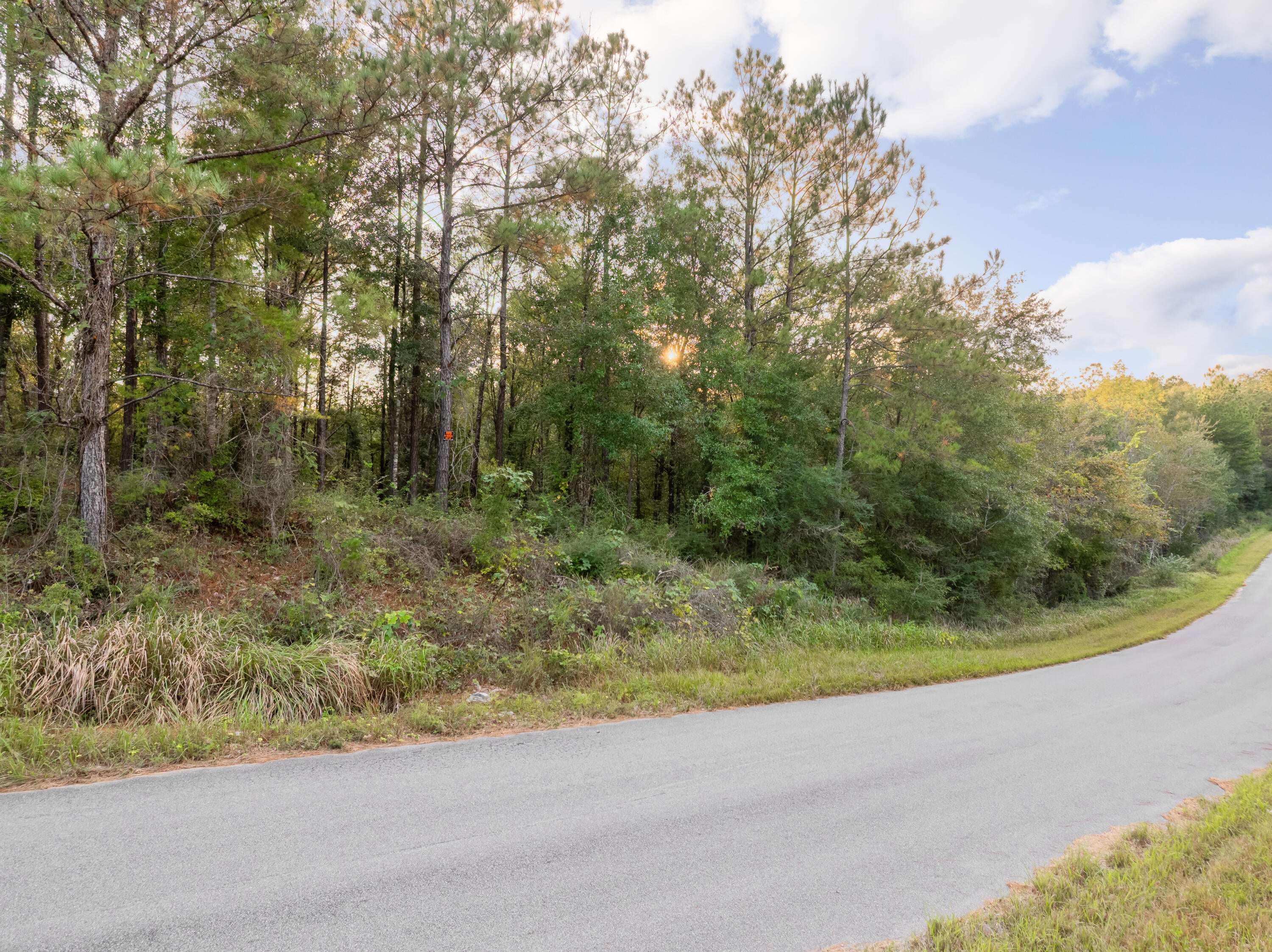 10.4 Pete Miles Road Lucedale, MS 39452 - Photo 6 of 25 00_Pete_Miles_Rd-6