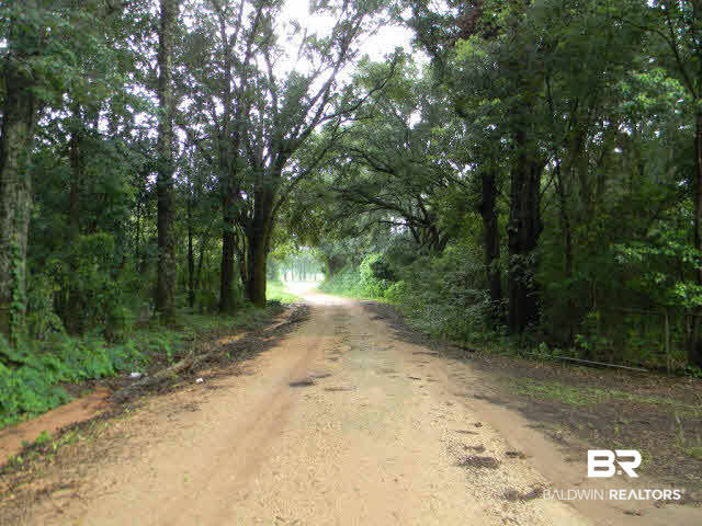 17101 Devine Road Loxley, AL 36551 - Photo 26 of 26 Road in front of property