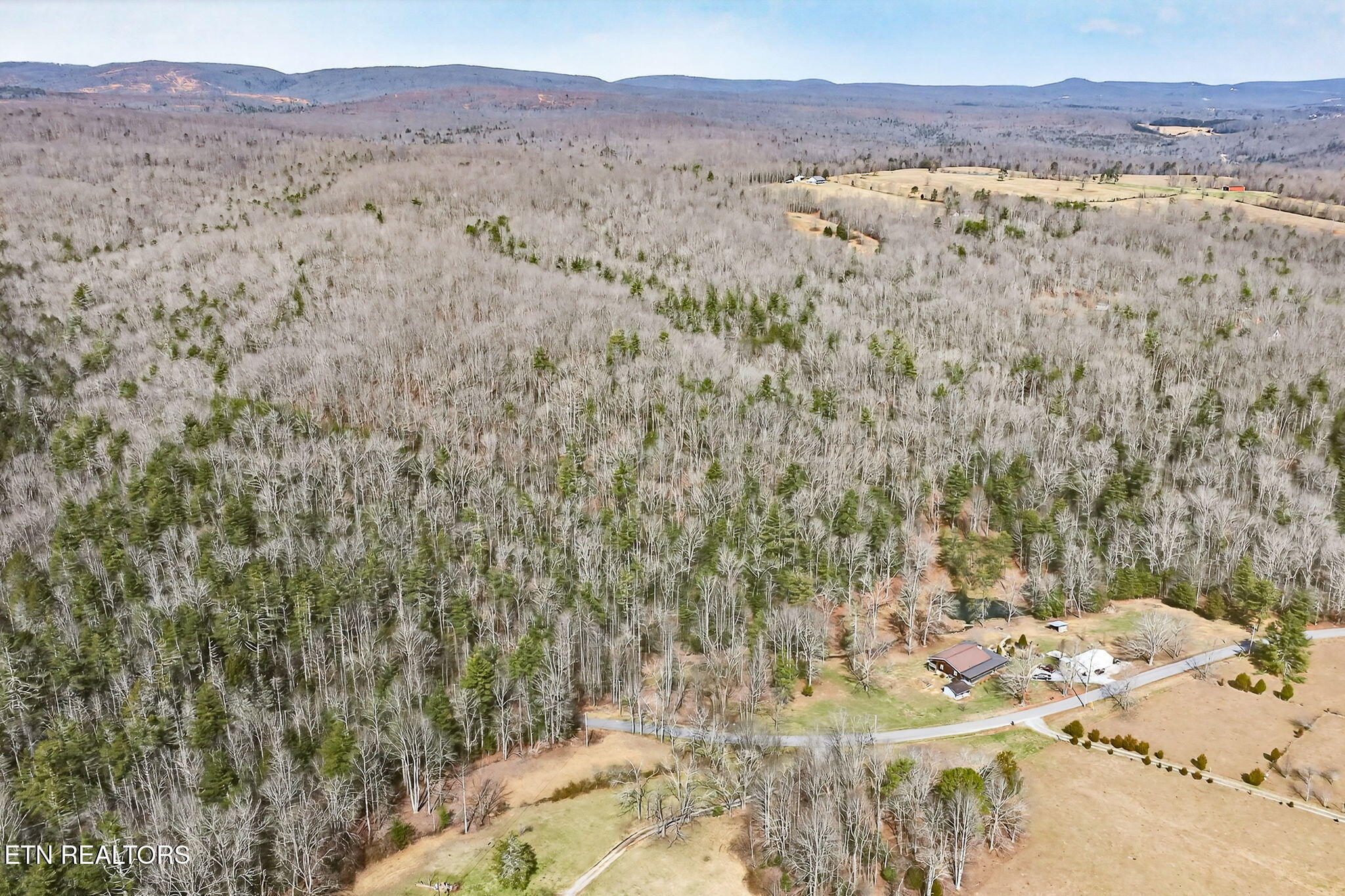 Dogwood Road Grandview, TN 37337 - Photo 8 of 16 4-web-or-mls-Dogwood Grandview_012_TNPC