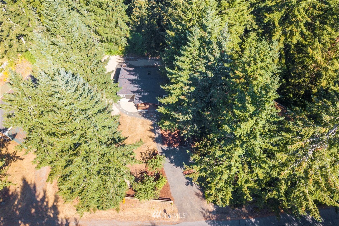 441 Northeast Larson Lake Road Belfair, WA 98528 - Photo 31 of 33 Gallery Image 31