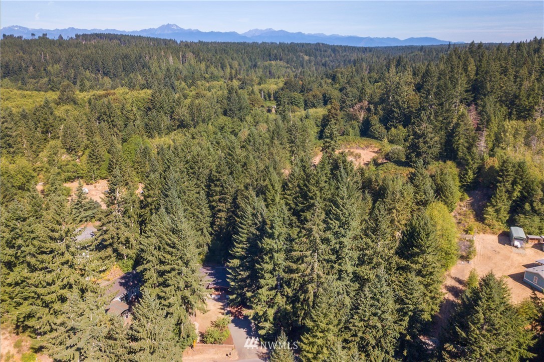 441 Northeast Larson Lake Road Belfair, WA 98528 - Photo 32 of 33 Gallery Image 32