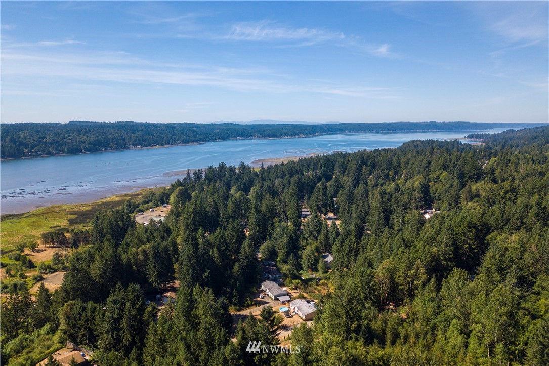 441 Northeast Larson Lake Road Belfair, WA 98528 - Photo 33 of 33 Gallery Image 33