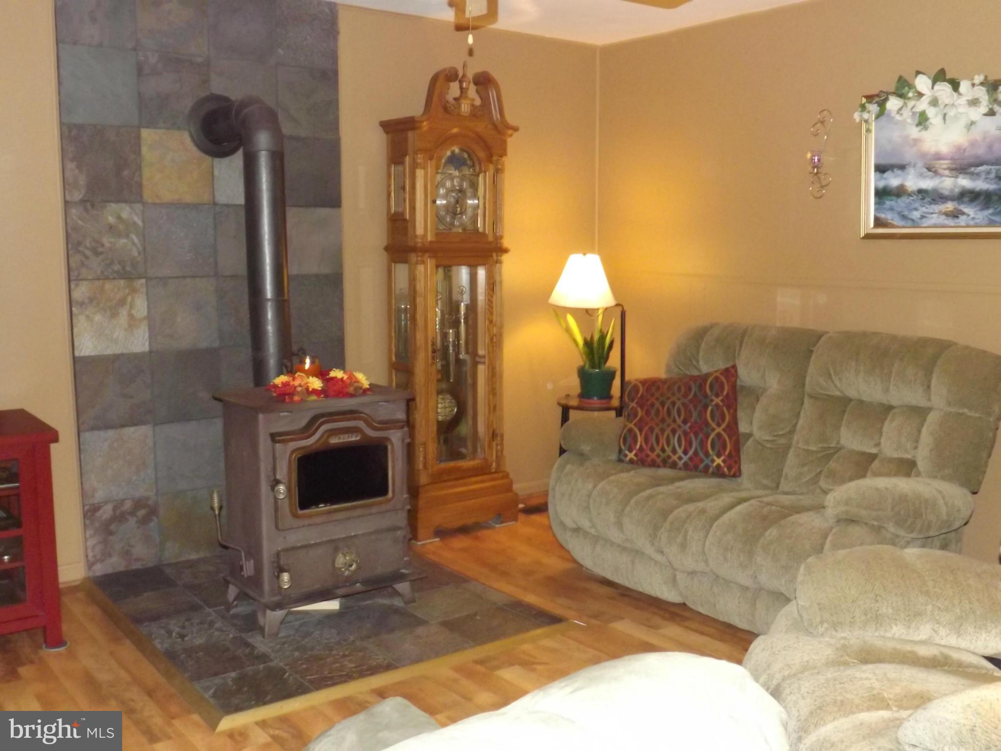 7035 Oliverwood Road Baltimore, MD 21220 - Photo 15 of 30 Living Room