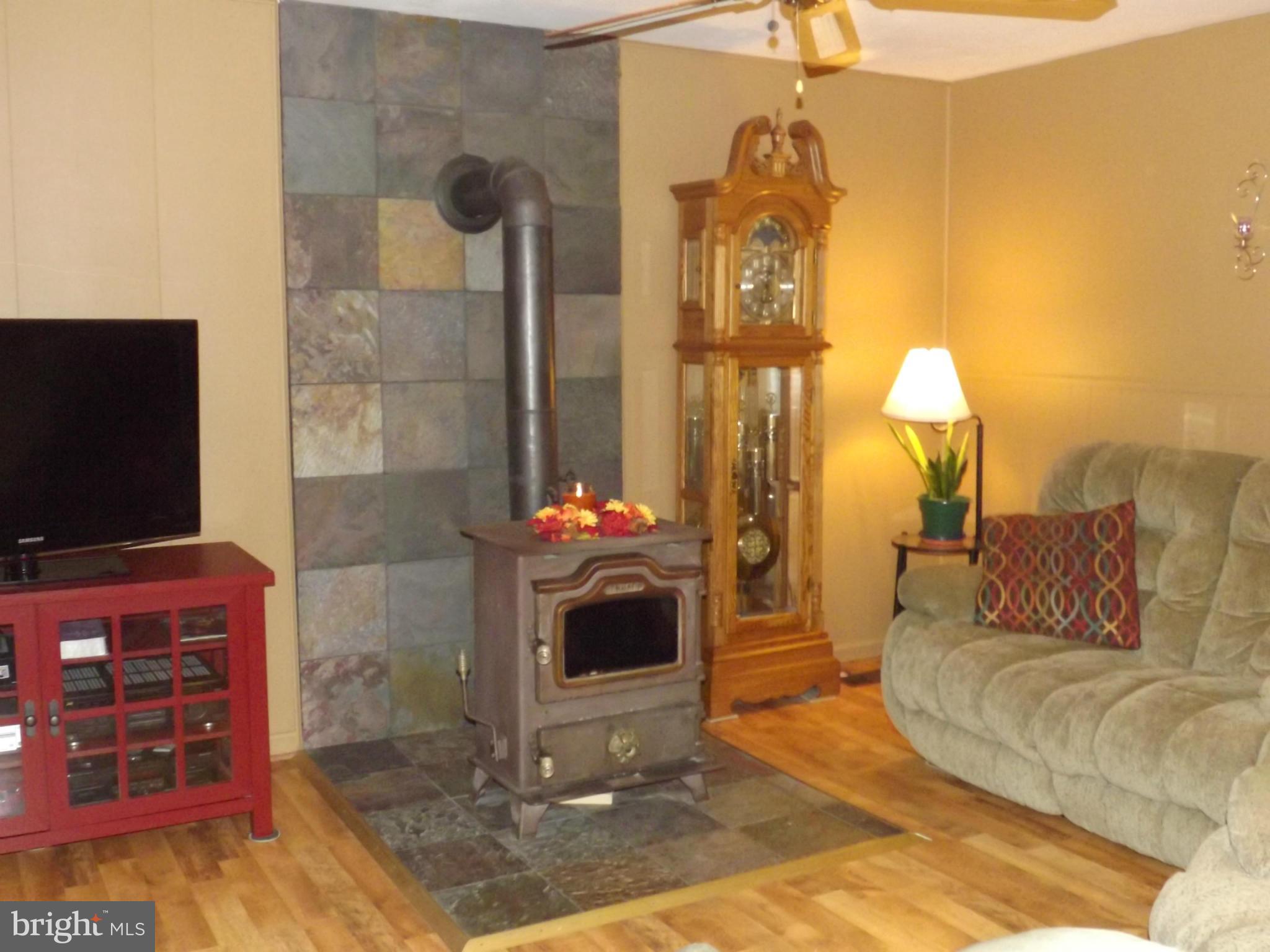 7035 Oliverwood Road Baltimore, MD 21220 - Photo 16 of 30 Living Room