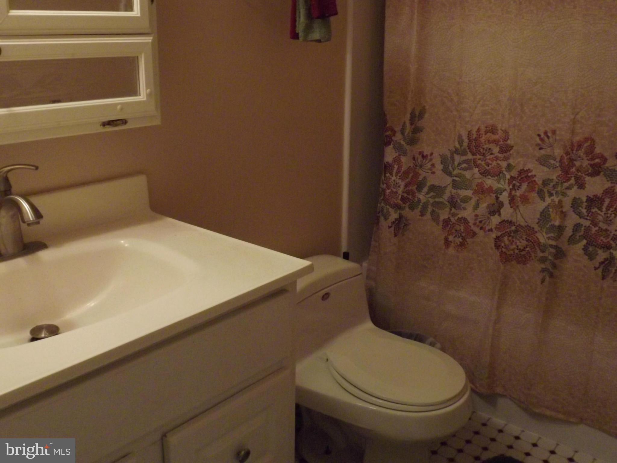 7035 Oliverwood Road Baltimore, MD 21220 - Photo 23 of 30 Bath