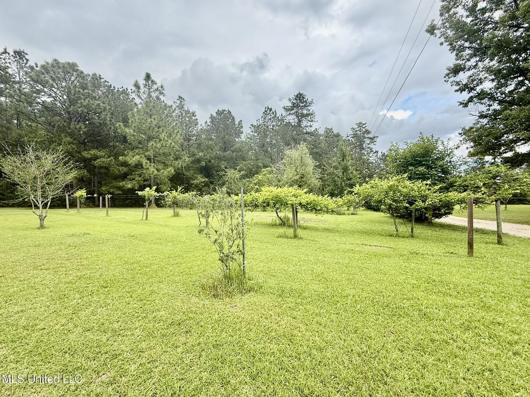 110 Frye Road Hattiesburg, MS 39401 - Photo 64 of 85 IMG_2292