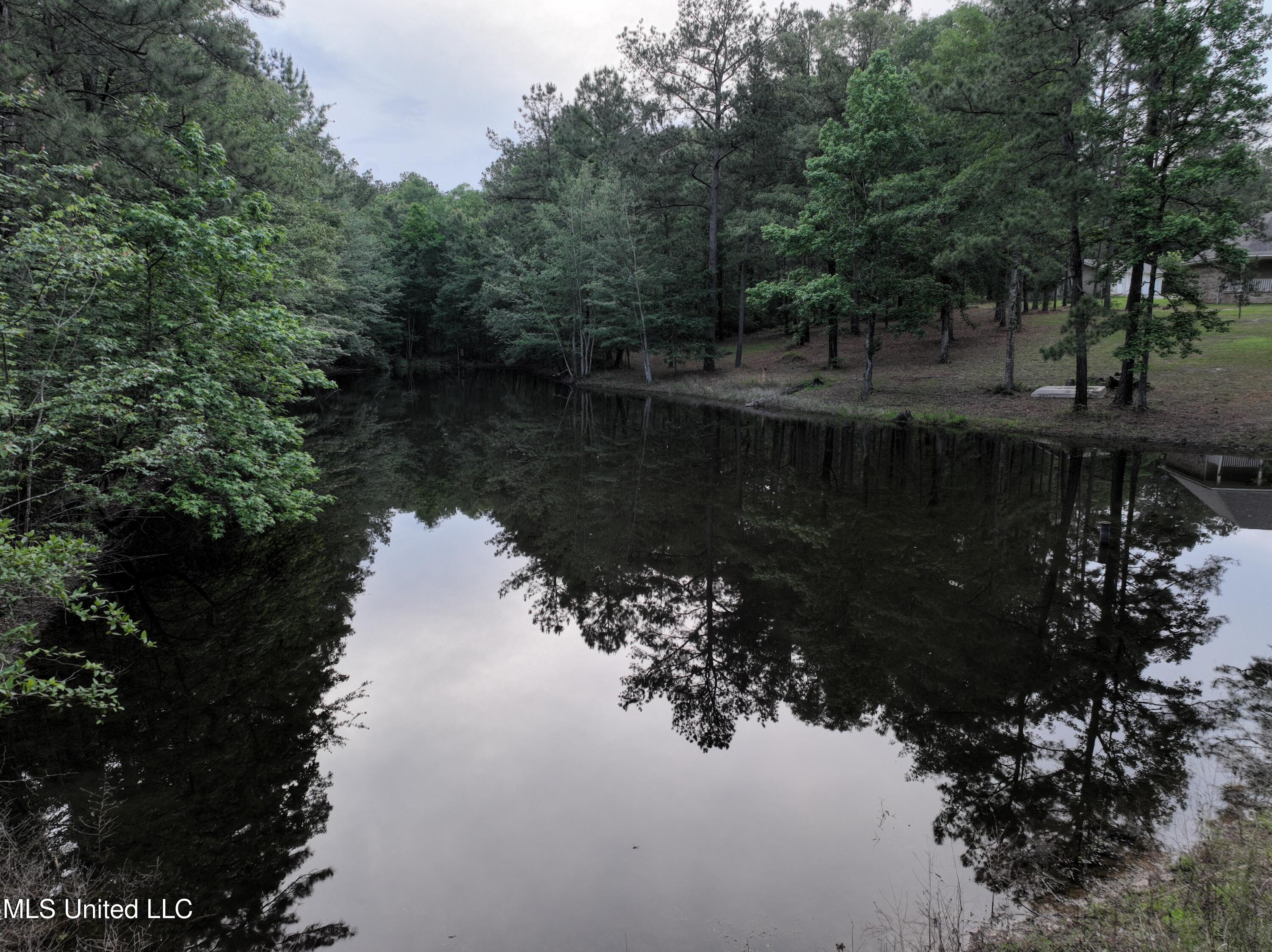 110 Frye Road Hattiesburg, MS 39401 - Photo 82 of 85 DJI_0193