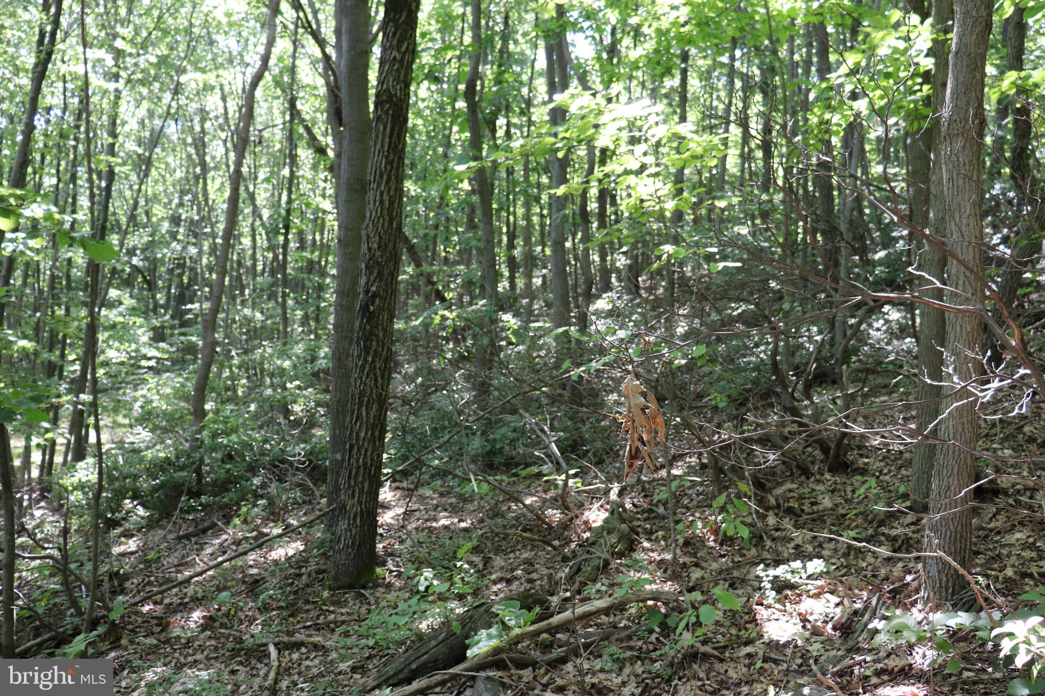 320 Ridge Run Claysburg, PA 16625 - Photo 4 of 4