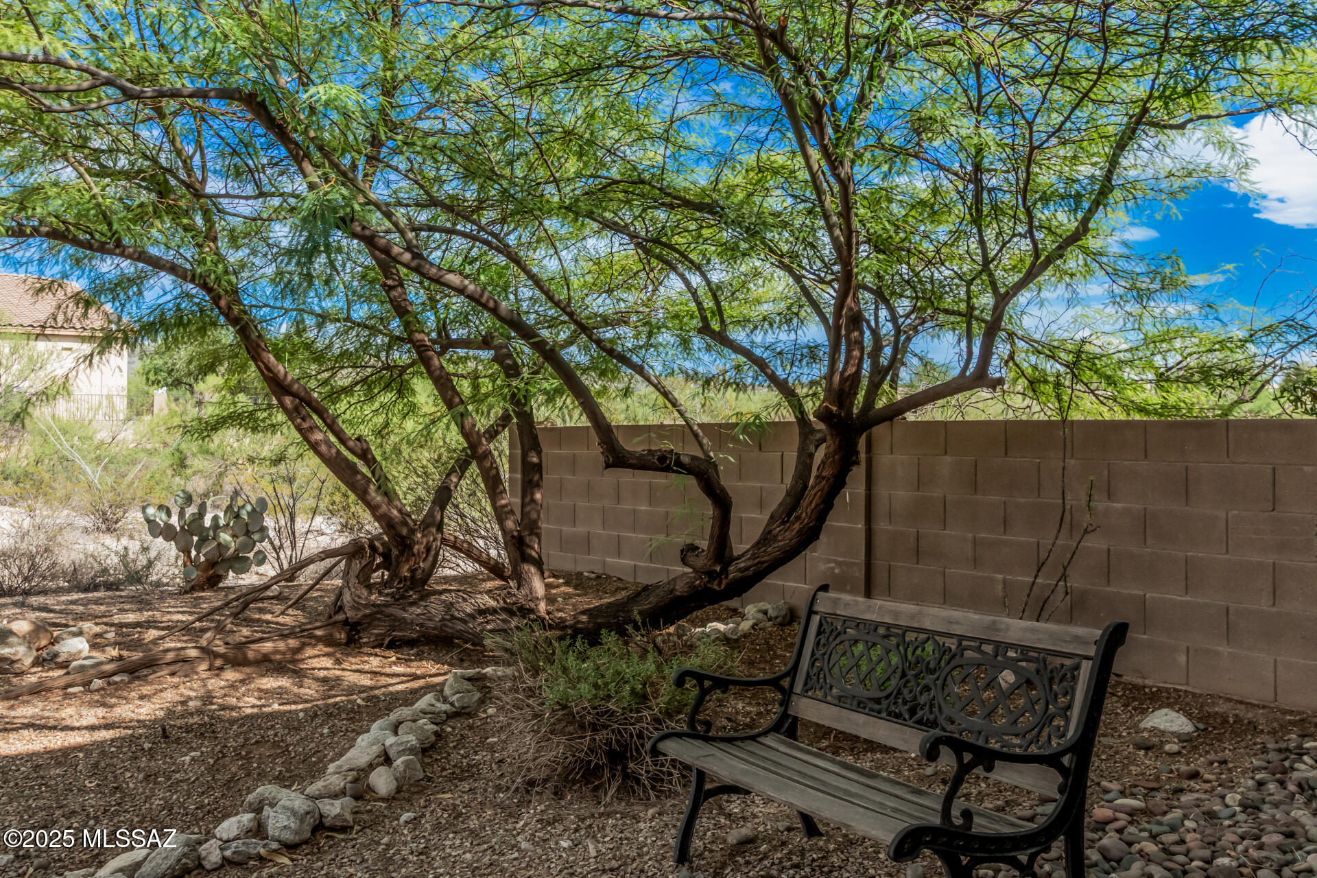 10836 South Heart Break Ridge Place Vail, AZ 85641 - Photo 6 of 42
